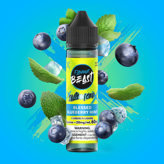 Blessed Blueberry Mint Iced - 20mg